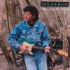 Salt Lake City Blues - Tony Joe White